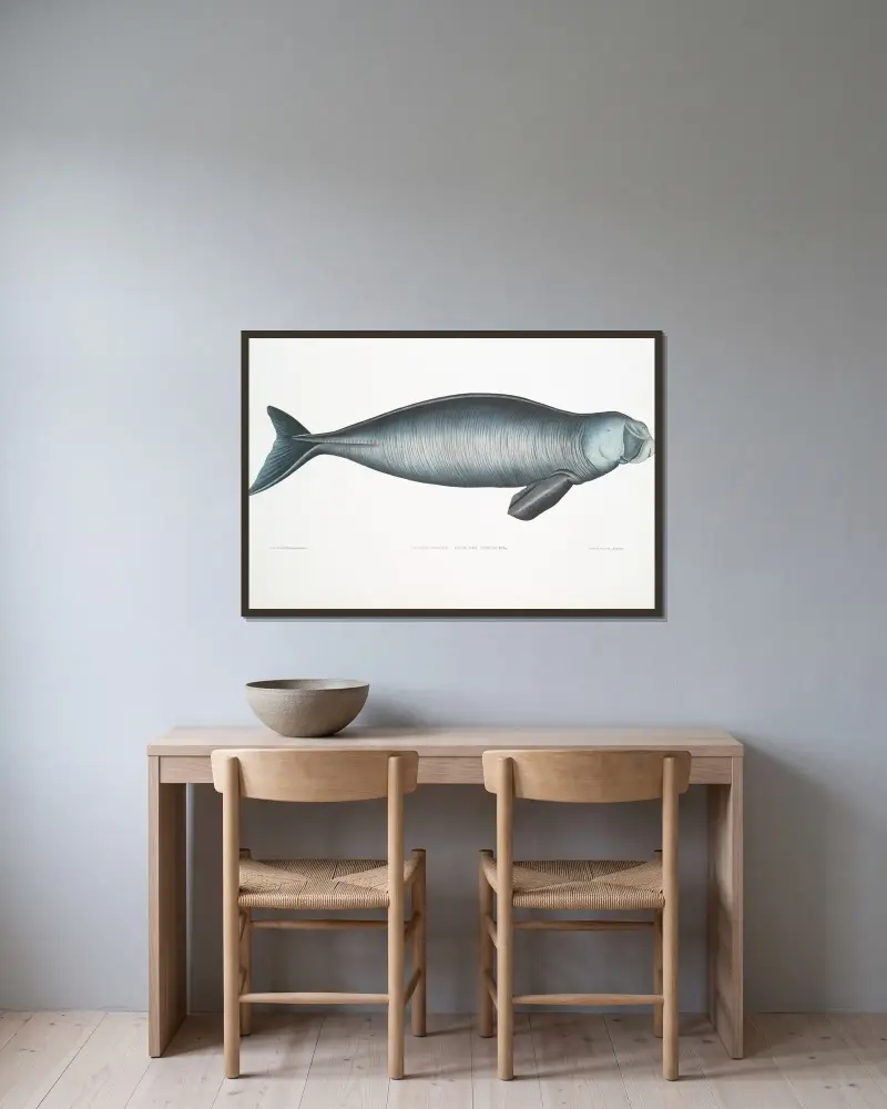 Indian Dugong, Halicora Dugung. av John Edward Gray inramad på en vägg