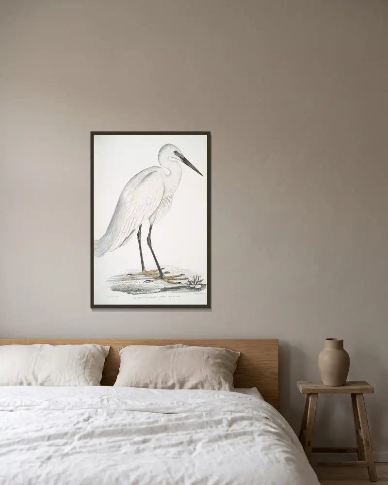 Indian white Heron, Ardea orientalis. av John Edward Gray inramad på en vägg