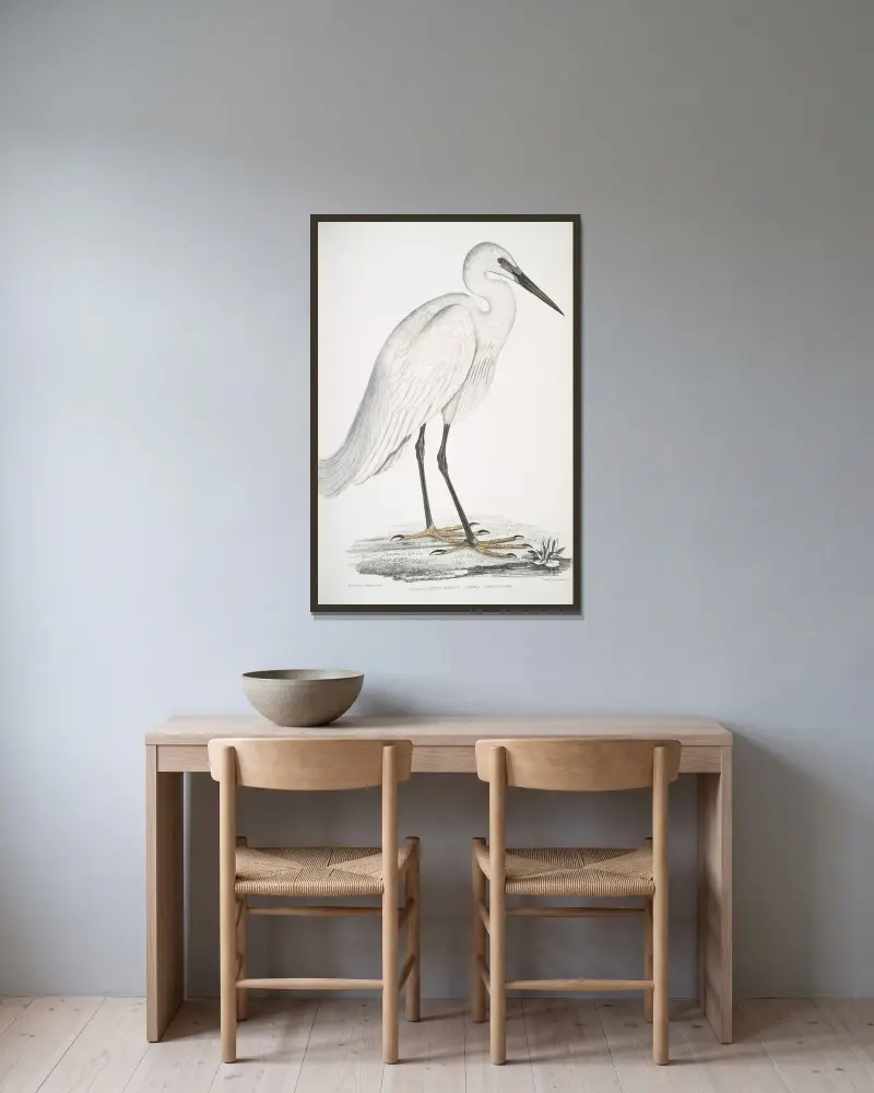 Indian white Heron, Ardea orientalis. av John Edward Gray inramad på en vägg