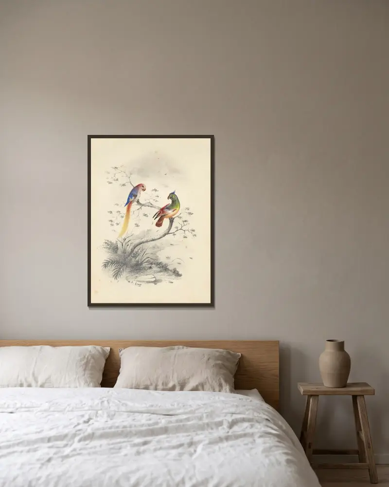 Ett par papegojor av Edward Lear inramad på en vägg