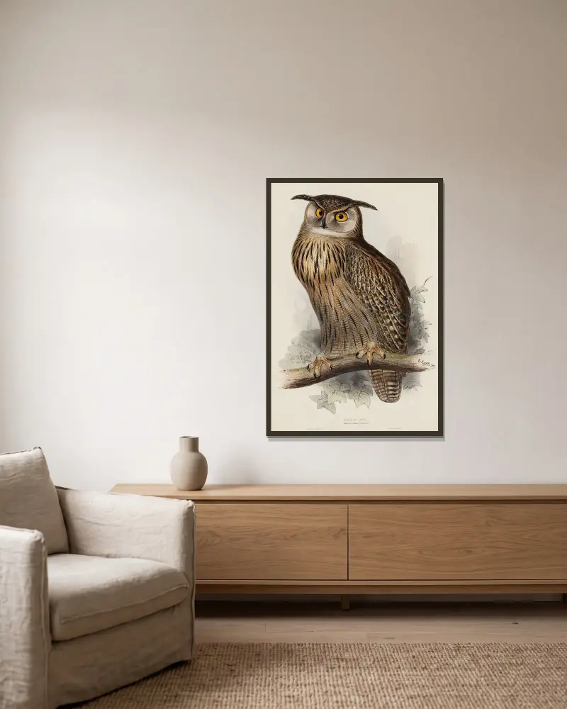Uhu. Bubo maximus von Edward Lear gerahmt an einer Wand