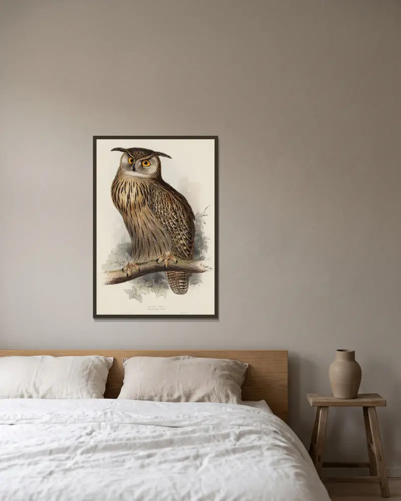Uhu. Bubo maximus von Edward Lear gerahmt an einer Wand
