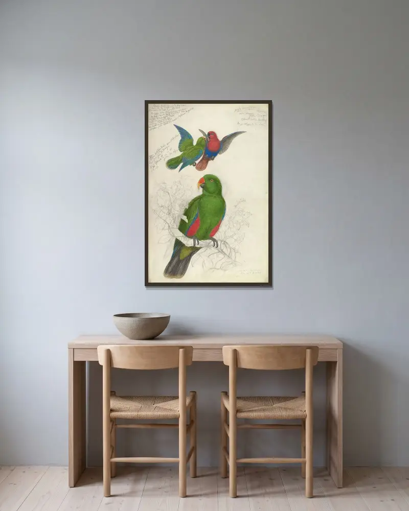 Eclectus Roratus Polychloros von Edward Lear gerahmt an einer Wand
