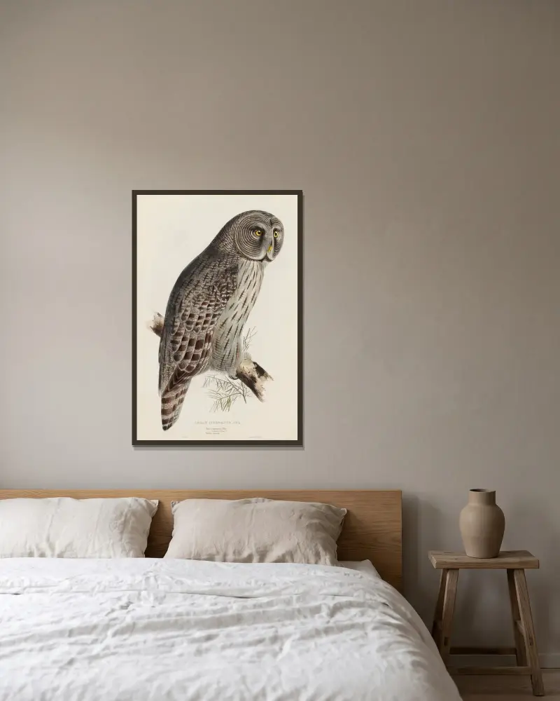 Stor grå uggla av Edward Lear inramad på en vägg