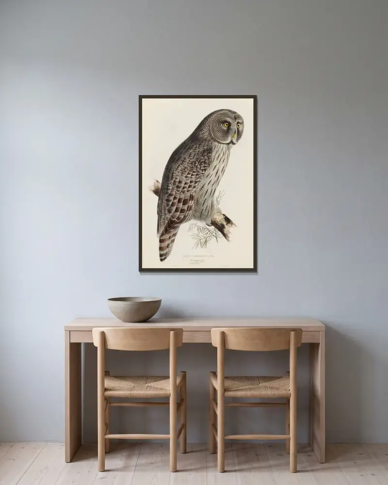 Stor grå uggla av Edward Lear inramad på en vägg