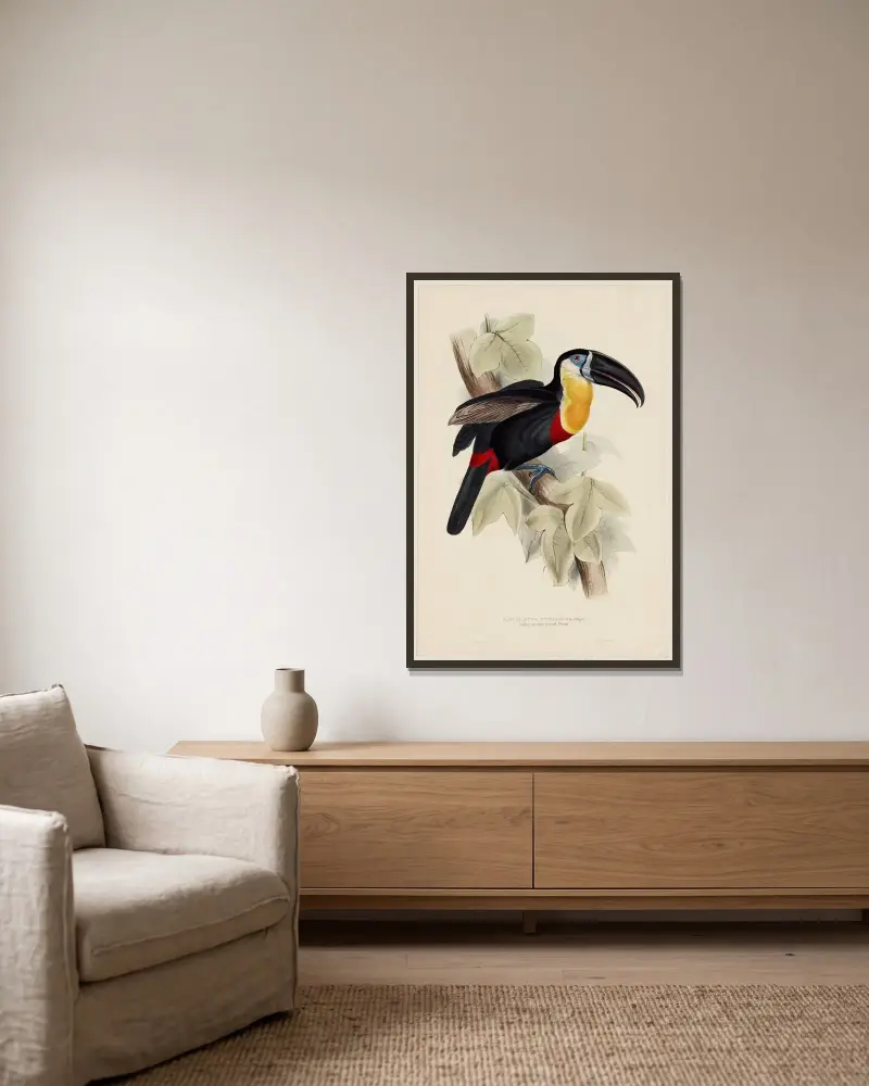 Ramphastos Vitellinus (Illiger) von Edward Lear gerahmt an einer Wand