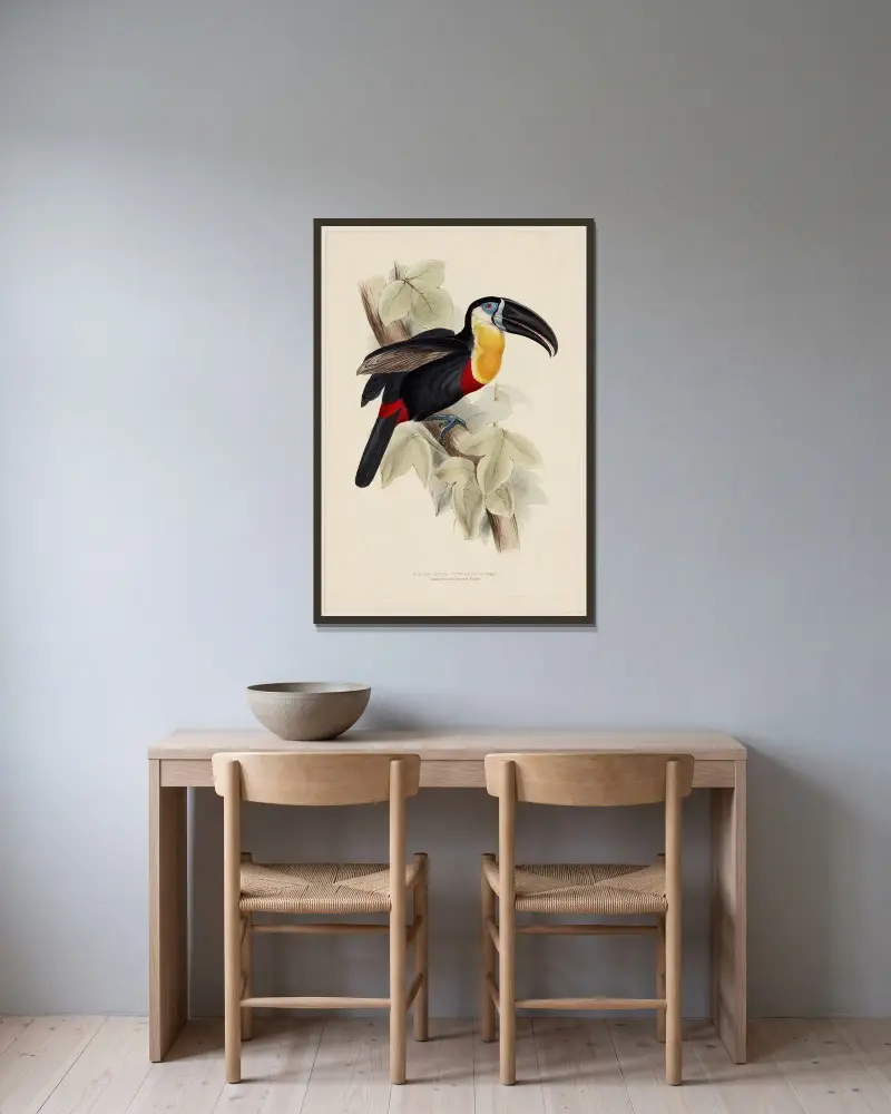 Ramphastos Vitellinus (Illiger) von Edward Lear gerahmt an einer Wand