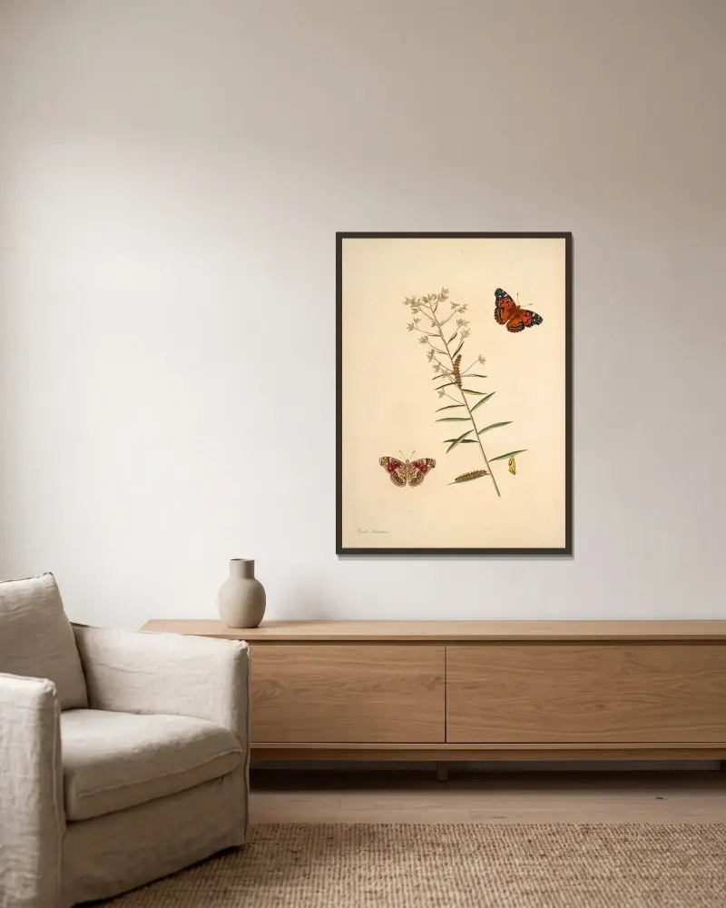 The natural history of the rarer lepidopterous insects of Georgia Pl.009 av James Edward Smith inramad på en vägg