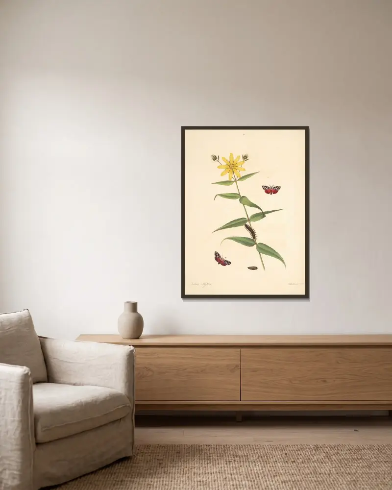 Die Naturgeschichte der selteneren Schmetterlingsinsekten von Georgia Taf. 064 von James Edward Smith gerahmt an einer Wand