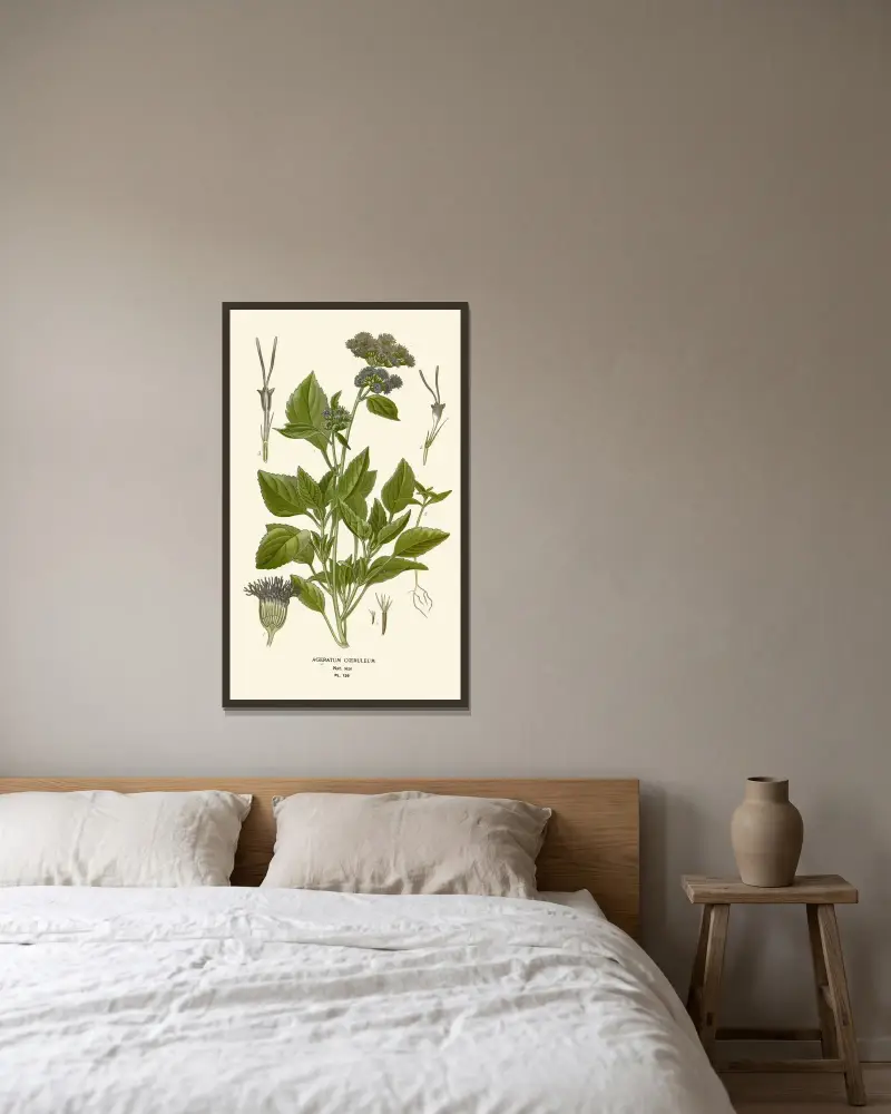 Ageratum Coeruleum av Edward Step inramad på en vägg