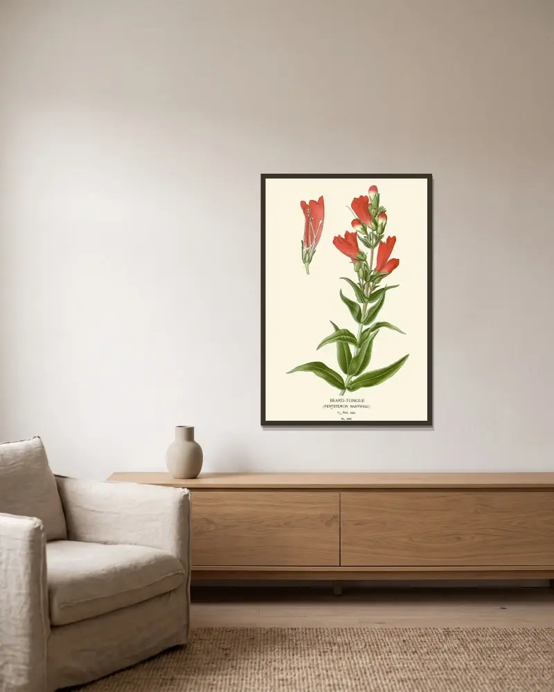 Tungört von Edward Step gerahmt an einer Wand