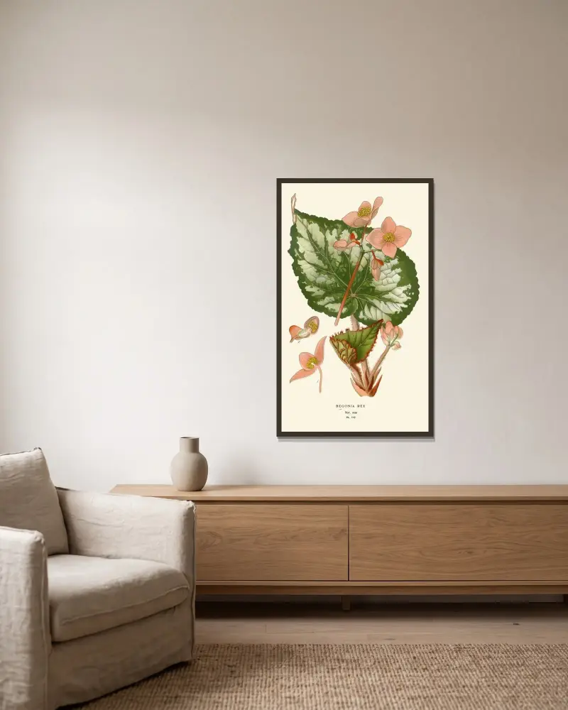 Begonia Rex von Edward Step gerahmt an einer Wand