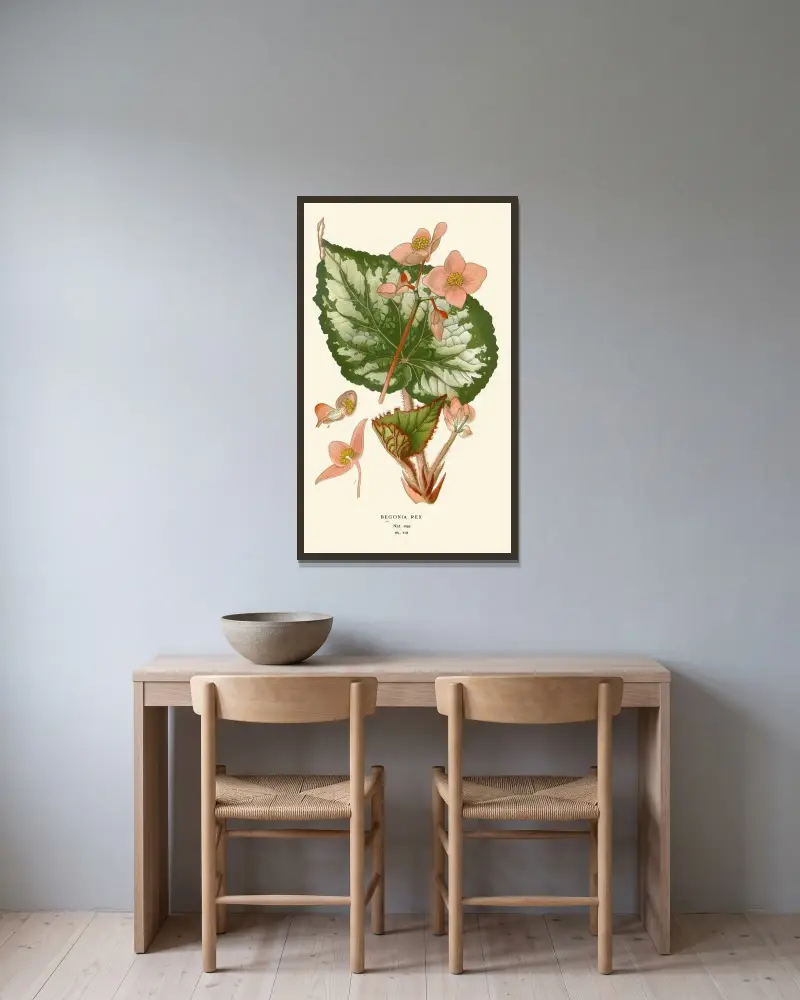 Begonia Rex von Edward Step gerahmt an einer Wand