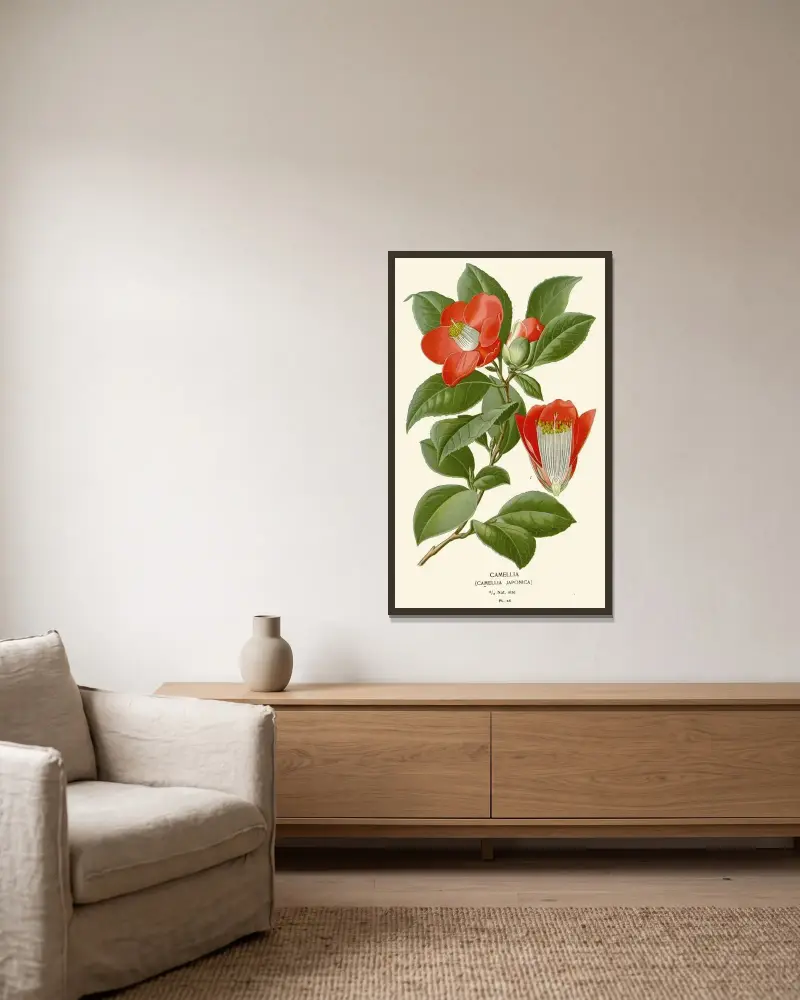 Camellia av Edward Step inramad på en vägg