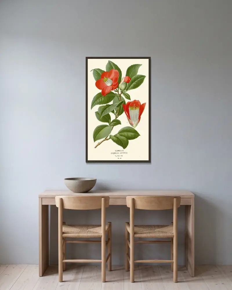 Camellia av Edward Step inramad på en vägg