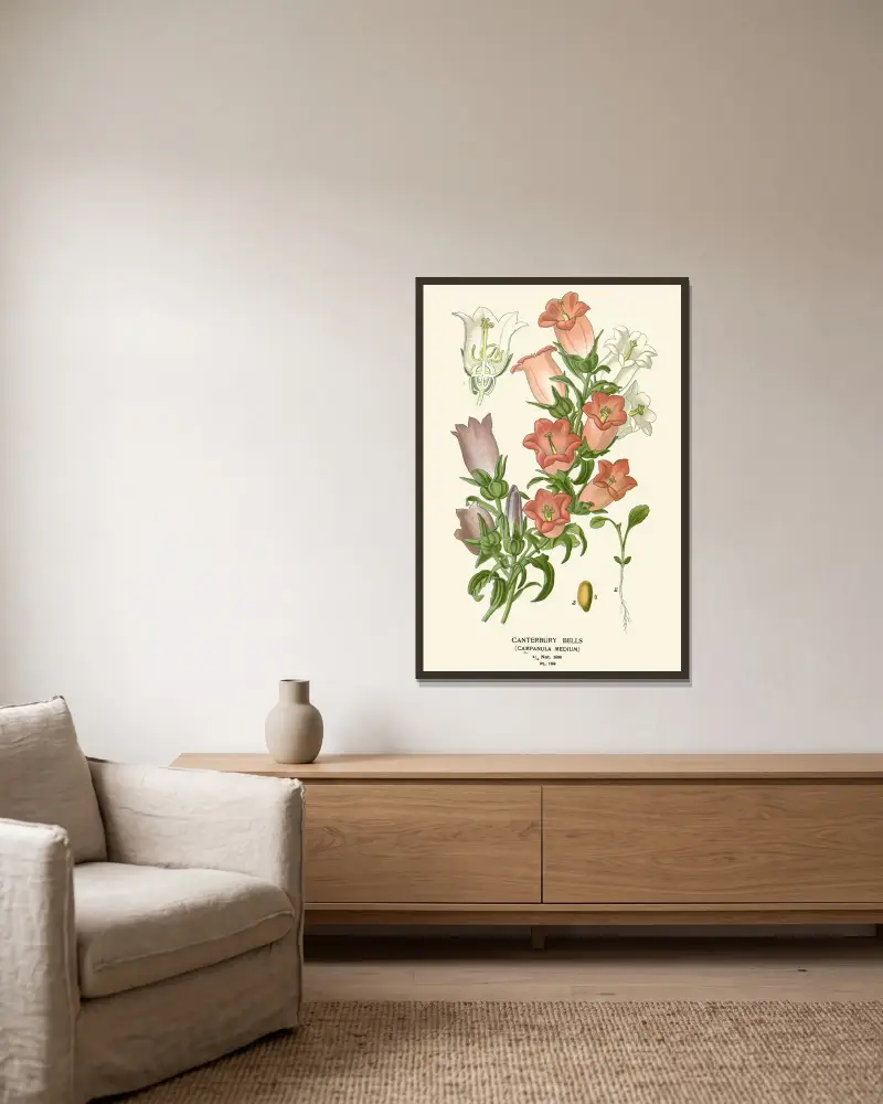 Canterbury-Glockenblumen von Edward Step gerahmt an einer Wand