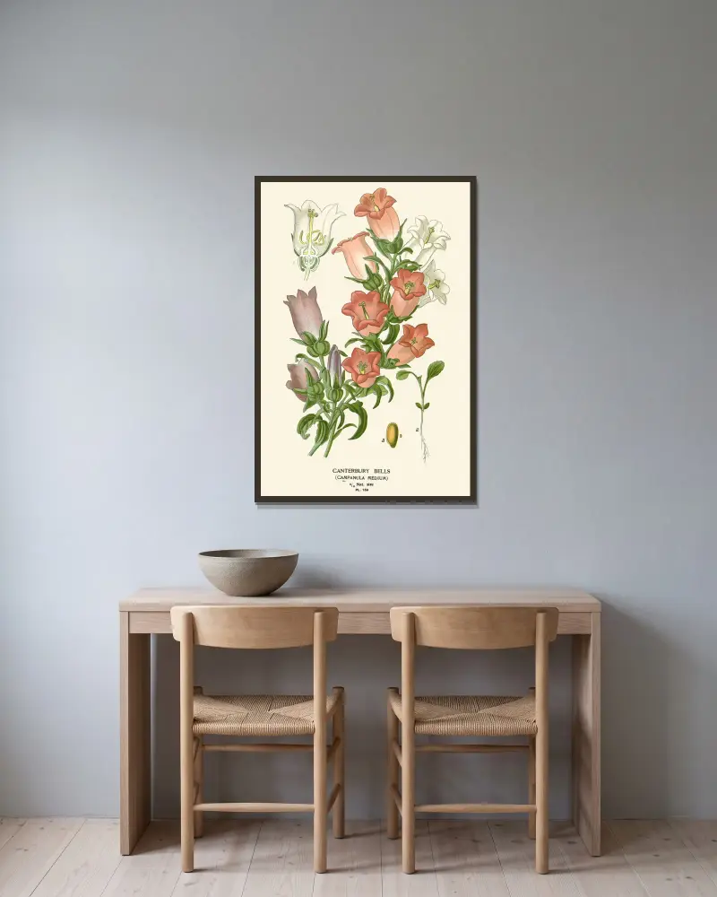 Canterbury-Glockenblumen von Edward Step gerahmt an einer Wand