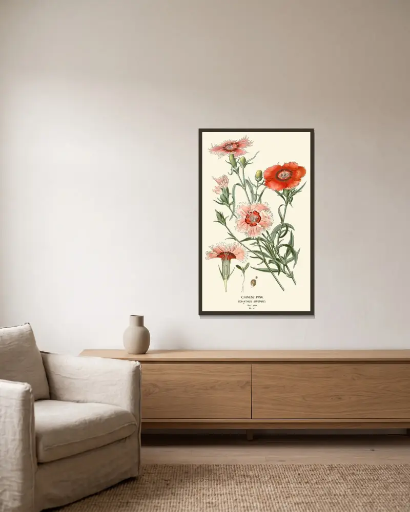 Chinese Pink von Edward Step gerahmt an einer Wand