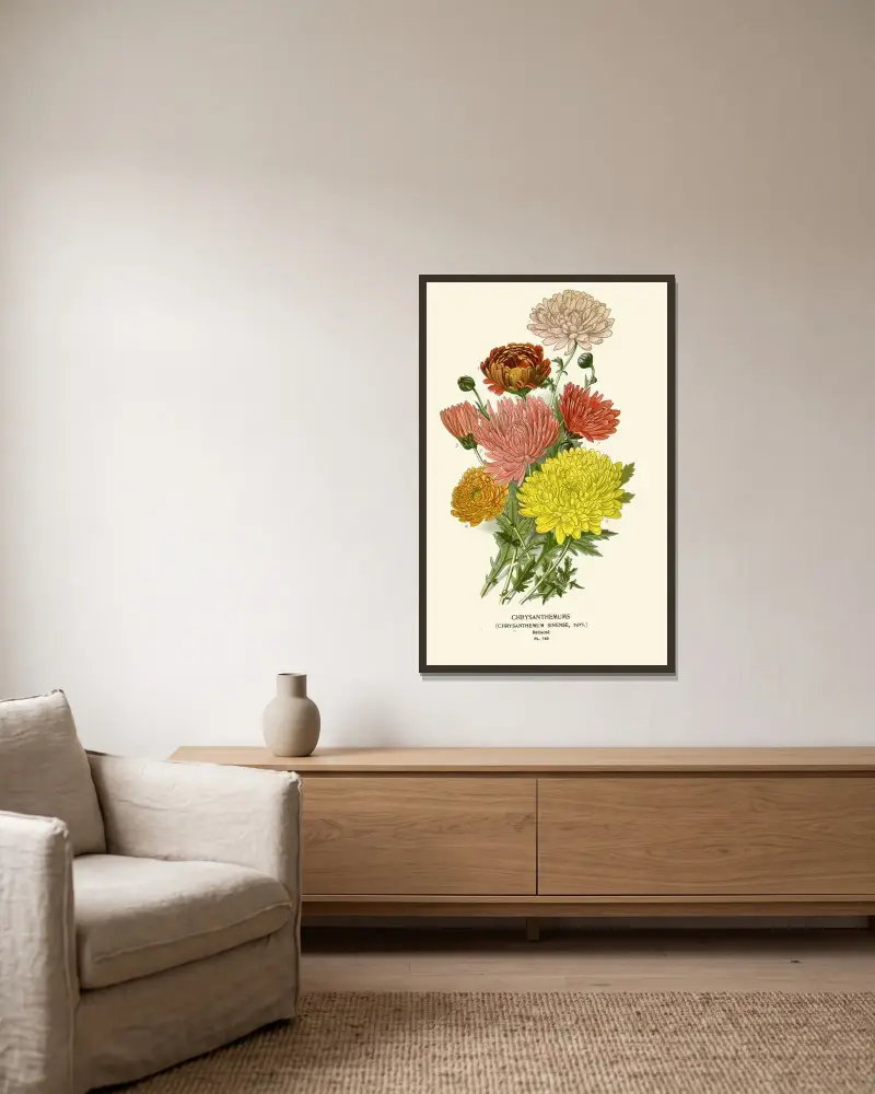 Chrysanthemum Sinense von Edward Step gerahmt an einer Wand