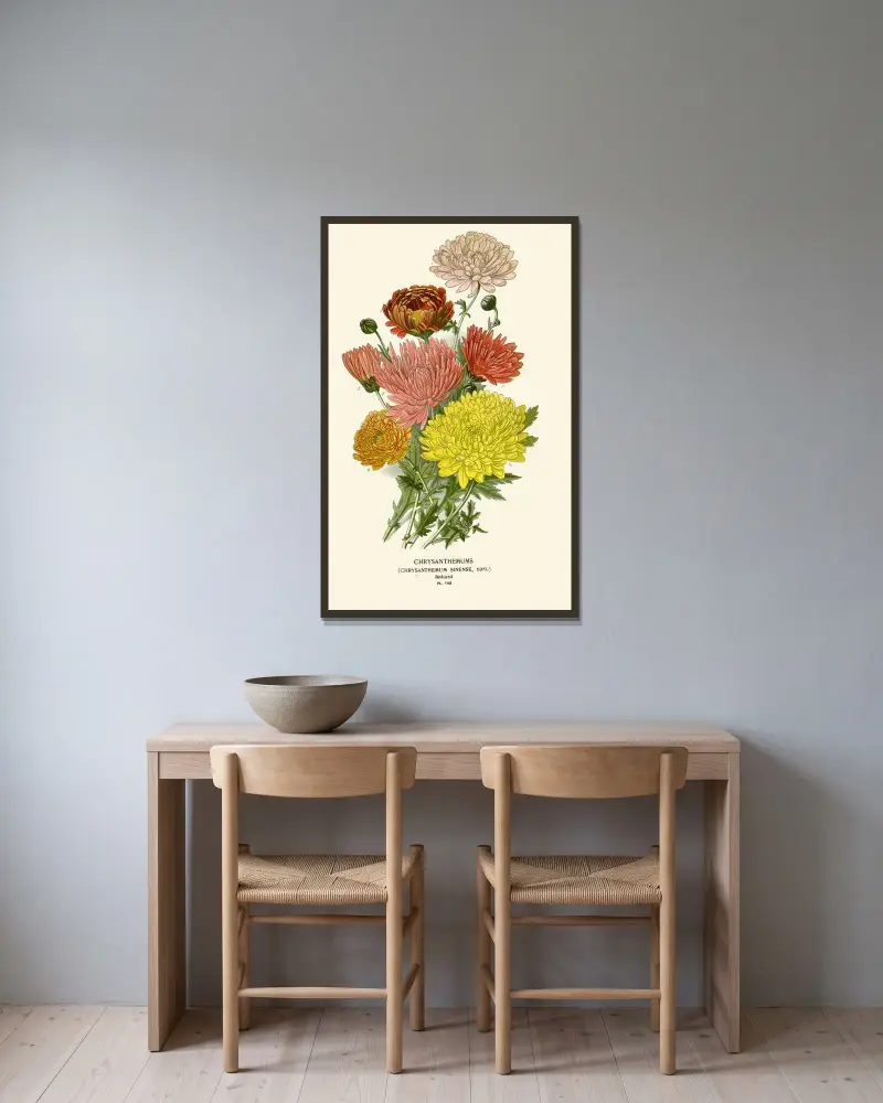 Chrysanthemum Sinense von Edward Step gerahmt an einer Wand