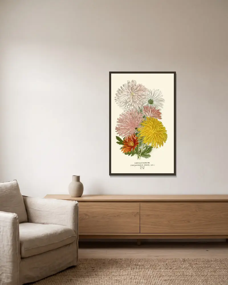 Chrysanthemen von Edward Step gerahmt an einer Wand
