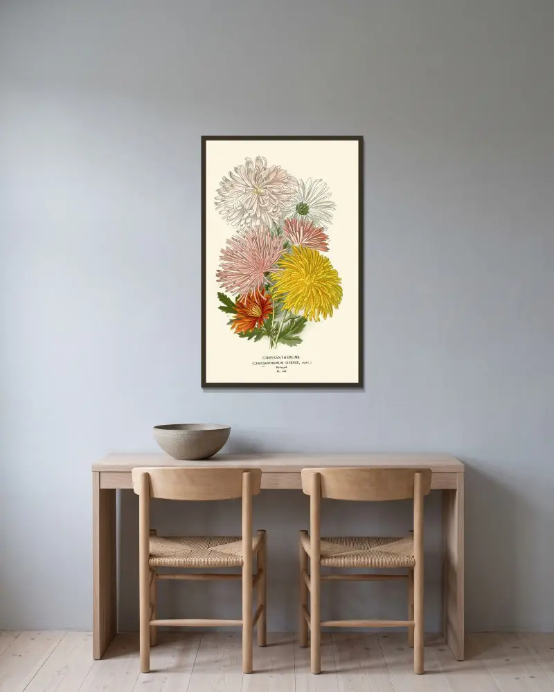Chrysanthemen von Edward Step gerahmt an einer Wand