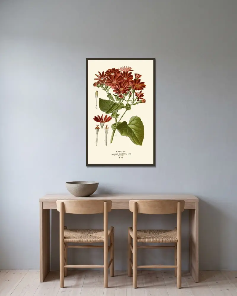 Cineraria von Edward Step gerahmt an einer Wand