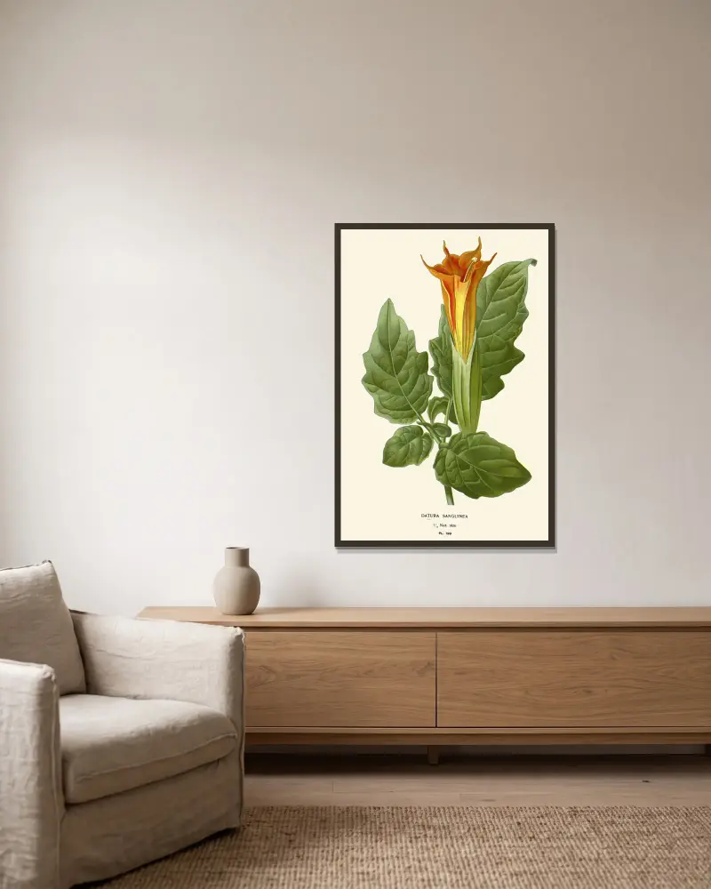 Datura Sanguinea, Edward Step v rámu na stěně