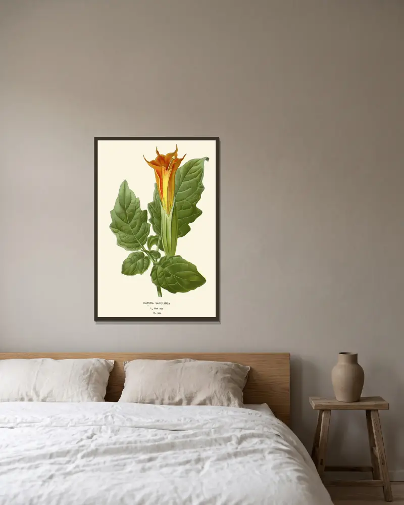 Datura Sanguinea, Edward Step v rámu na stěně