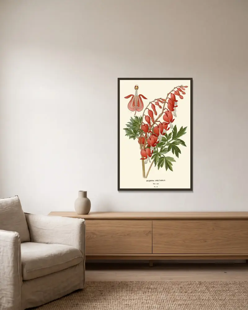 Dicentra Spectabilis av Edward Step inramad på en vägg