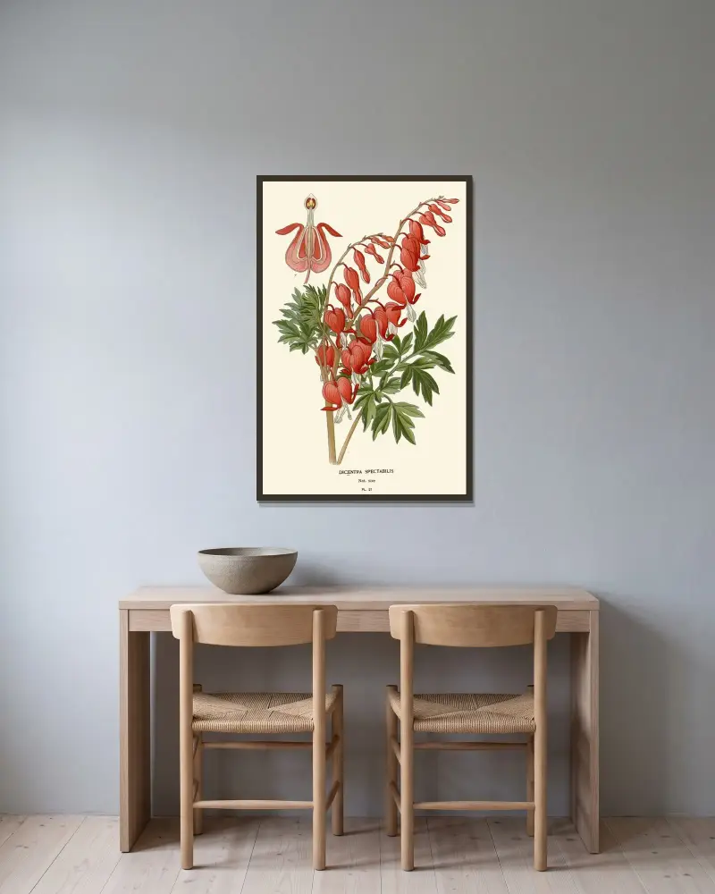Dicentra Spectabilis av Edward Step inramad på en vägg