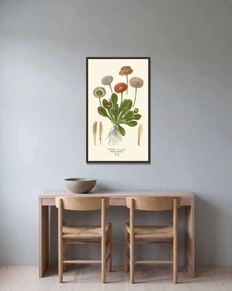 Gefüllte Gänseblümchen von Edward Step gerahmt an einer Wand