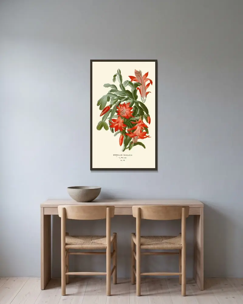 Epiphyllum Truncatum av Edward Step inramad på en vägg