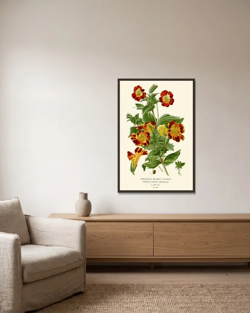 Harlekinblume von Edward Step gerahmt an einer Wand