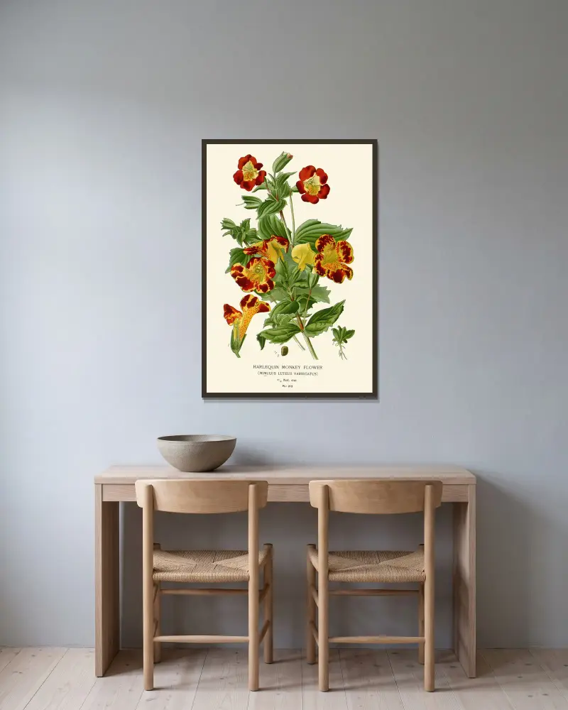 Harlekinblume von Edward Step gerahmt an einer Wand