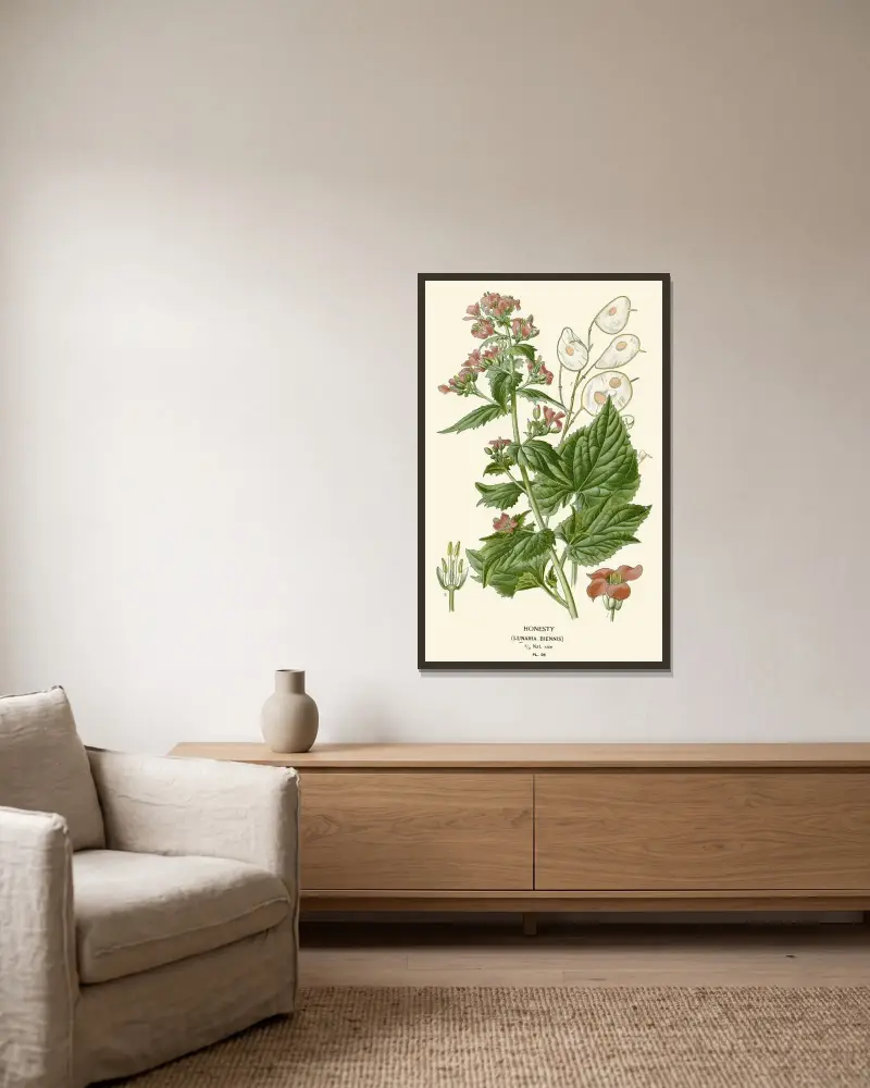 Honesty von Edward Step gerahmt an einer Wand