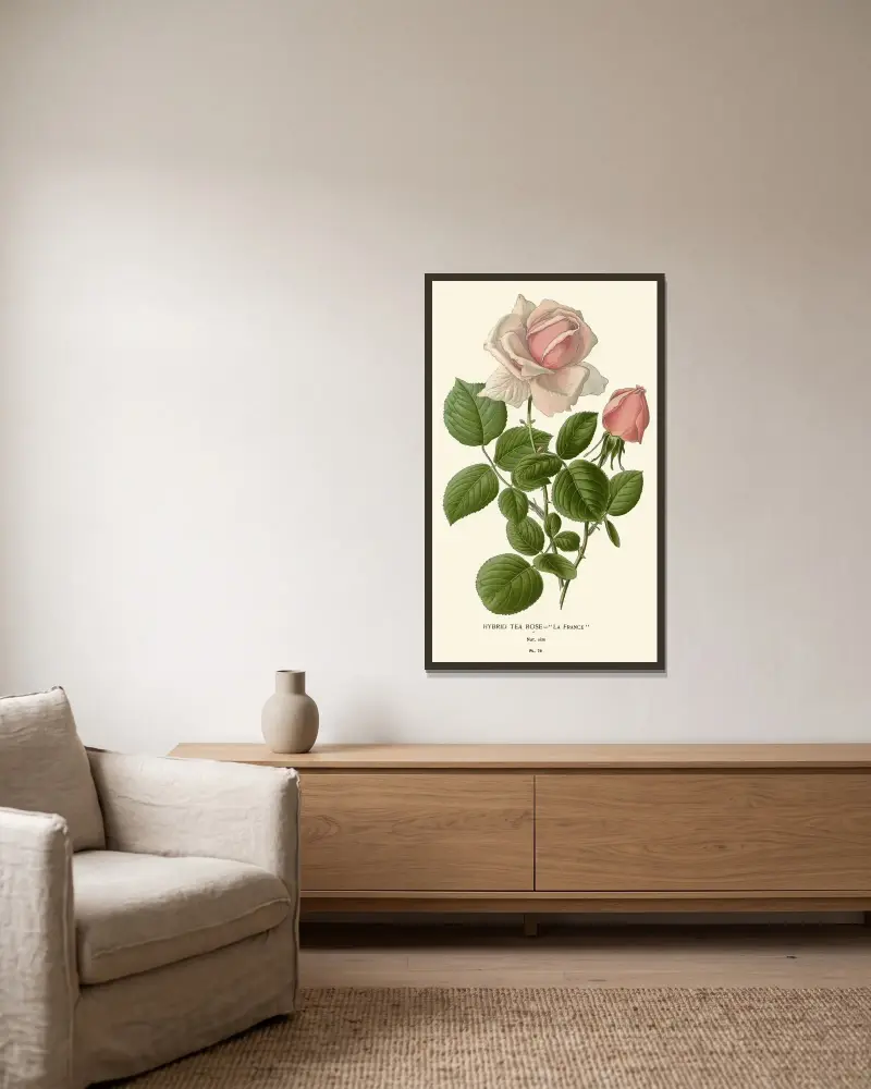 Hybrid Tea Rose – La France av Edward Step inramad på en vägg