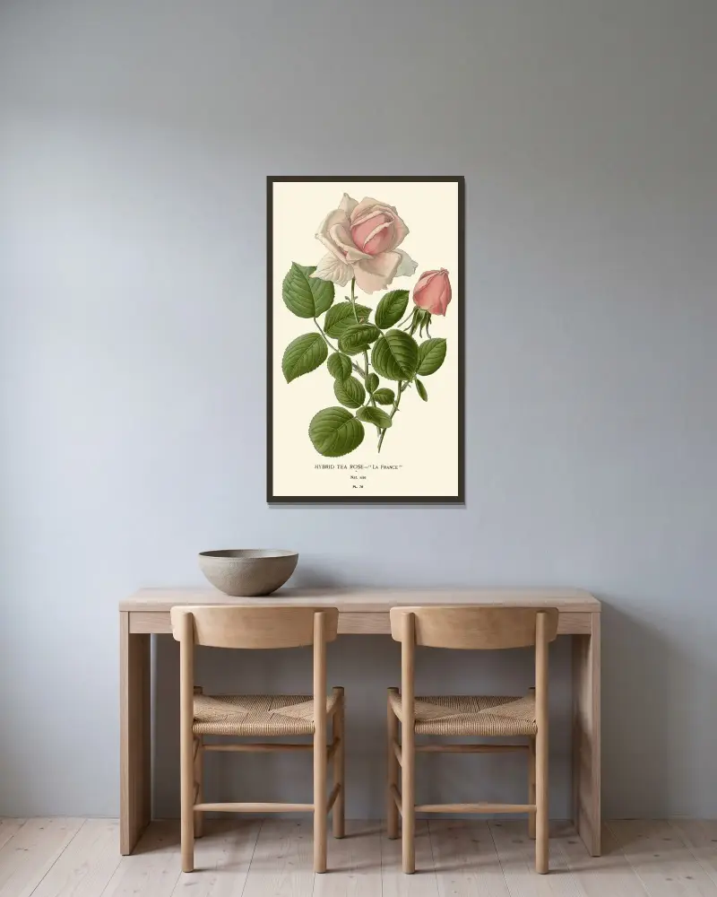 Hybrid Tea Rose – La France av Edward Step inramad på en vägg