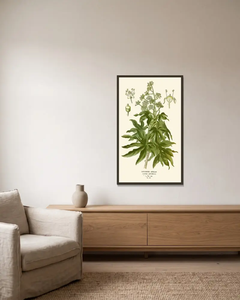 Japanese Aralia av Edward Step inramad på en vägg