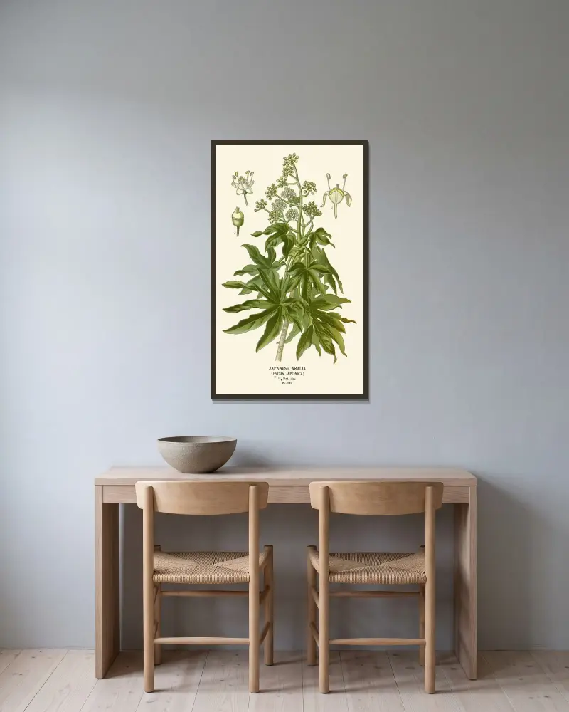 Japanese Aralia av Edward Step inramad på en vägg