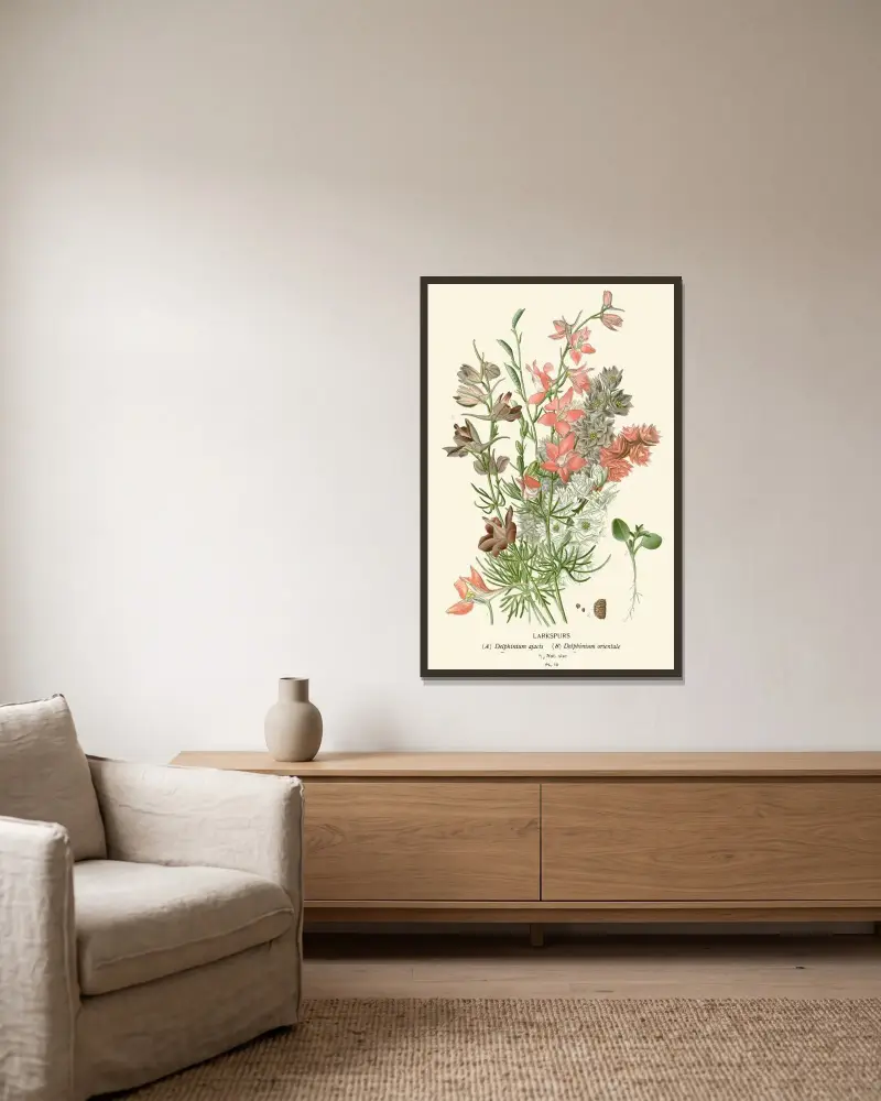 Rittersporn von Edward Step gerahmt an einer Wand