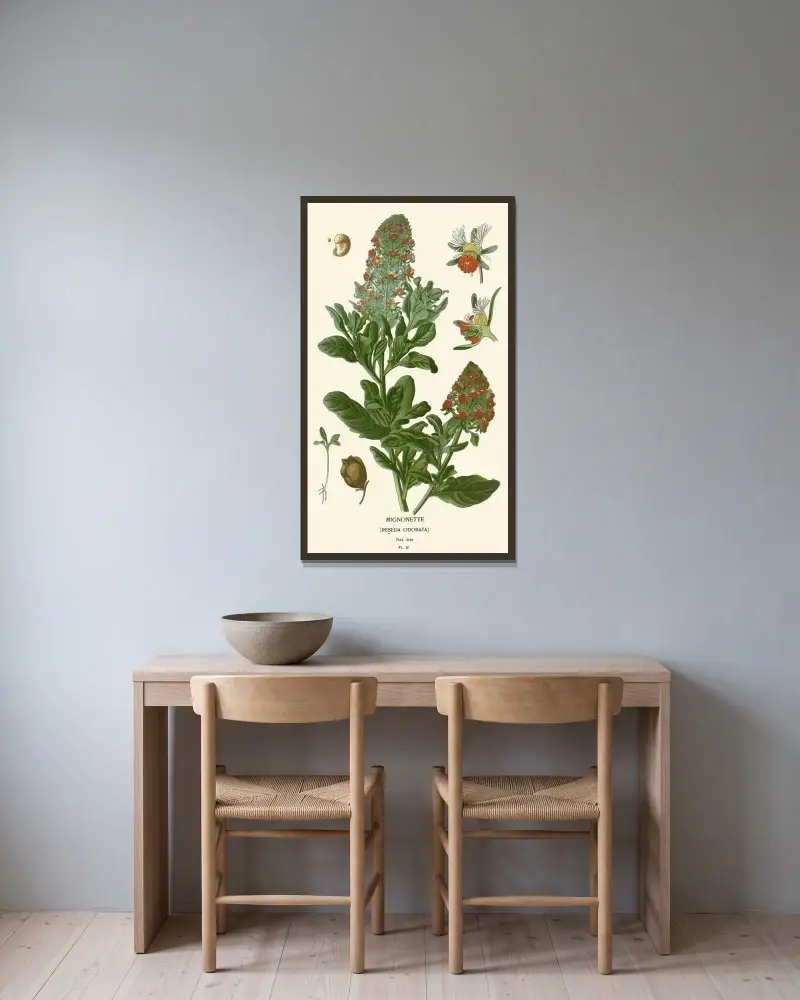 Reseda von Edward Step gerahmt an einer Wand