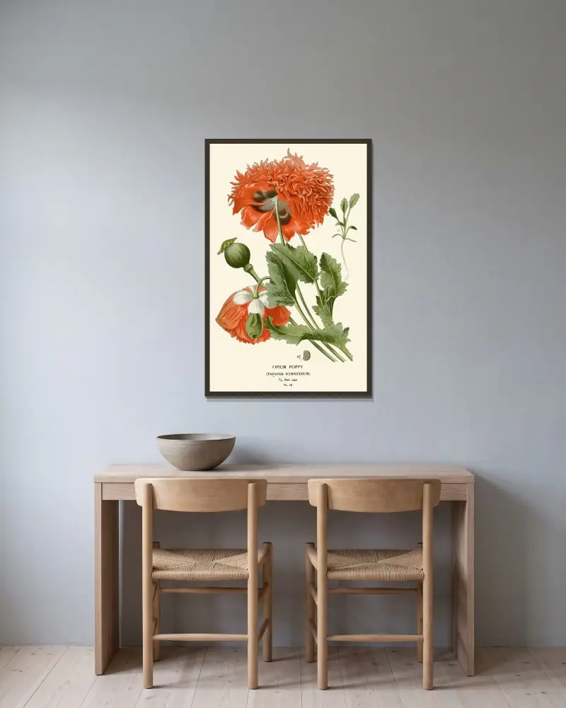 Opiummohn von Edward Step gerahmt an einer Wand