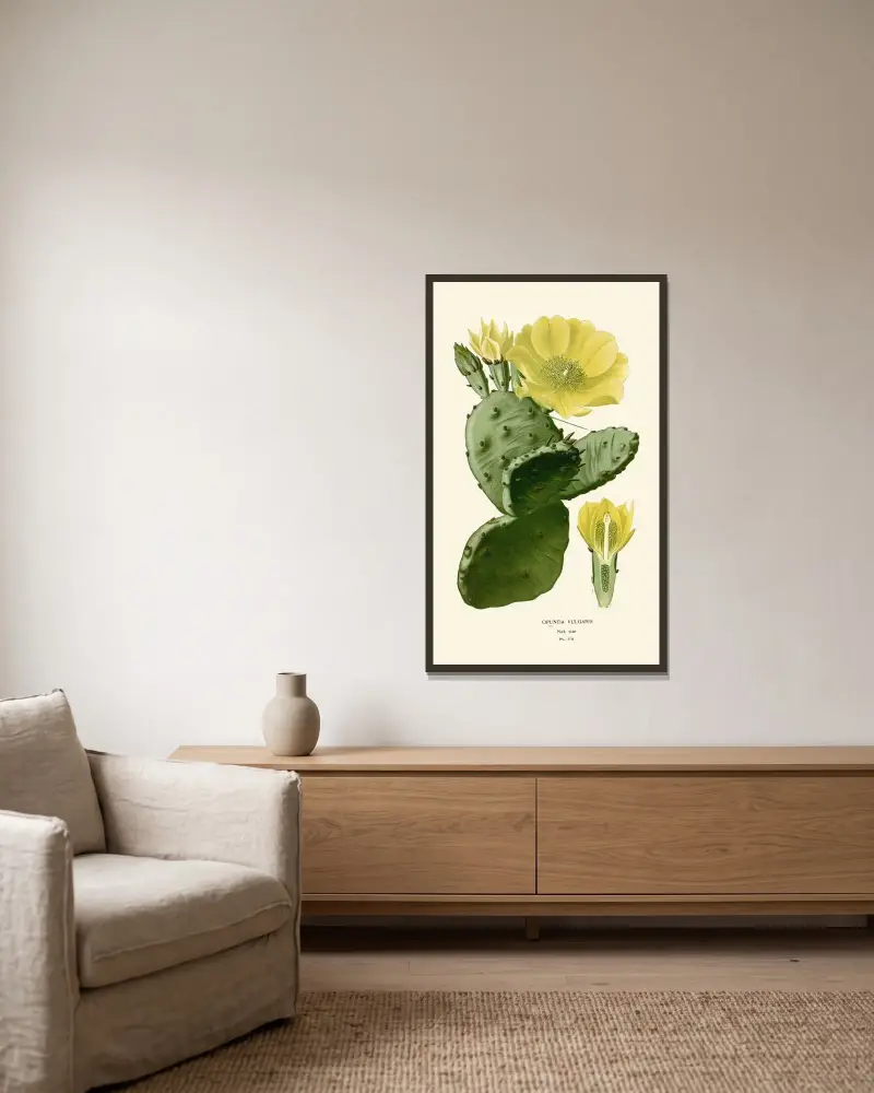 Opuntia Vulgaris av Edward Step inramad på en vägg