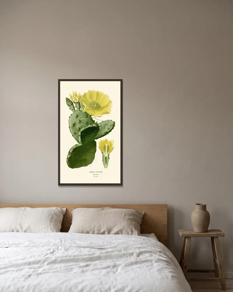 Opuntia Vulgaris av Edward Step inramad på en vägg