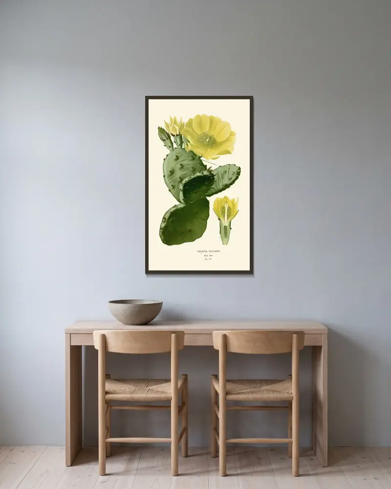 Opuntia Vulgaris av Edward Step inramad på en vägg