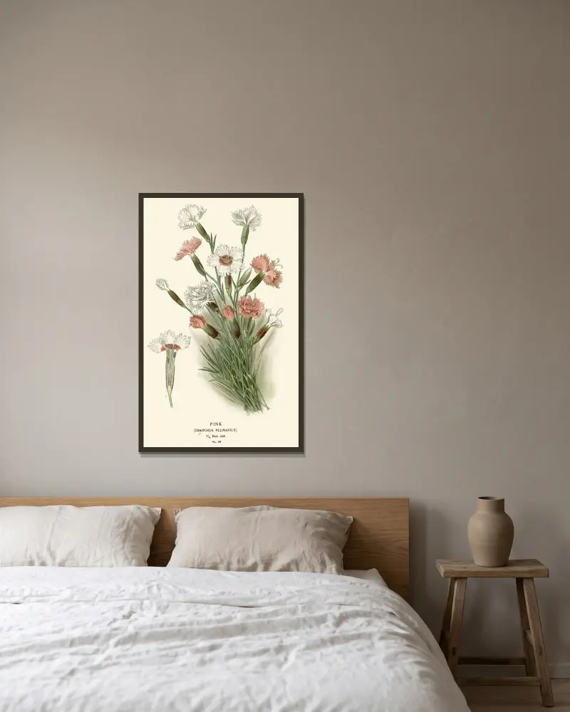 Nelke von Edward Step gerahmt an einer Wand