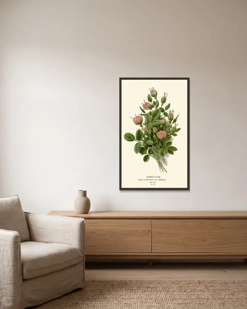 Pompon-Rose von Edward Step gerahmt an einer Wand