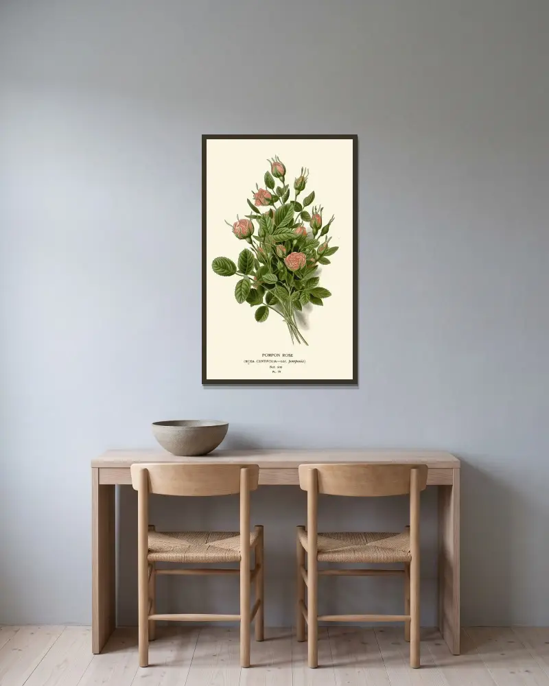 Pompon-Rose von Edward Step gerahmt an einer Wand