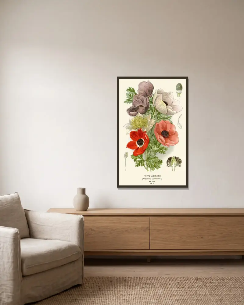 Japanische Anemone von Edward Step gerahmt an einer Wand